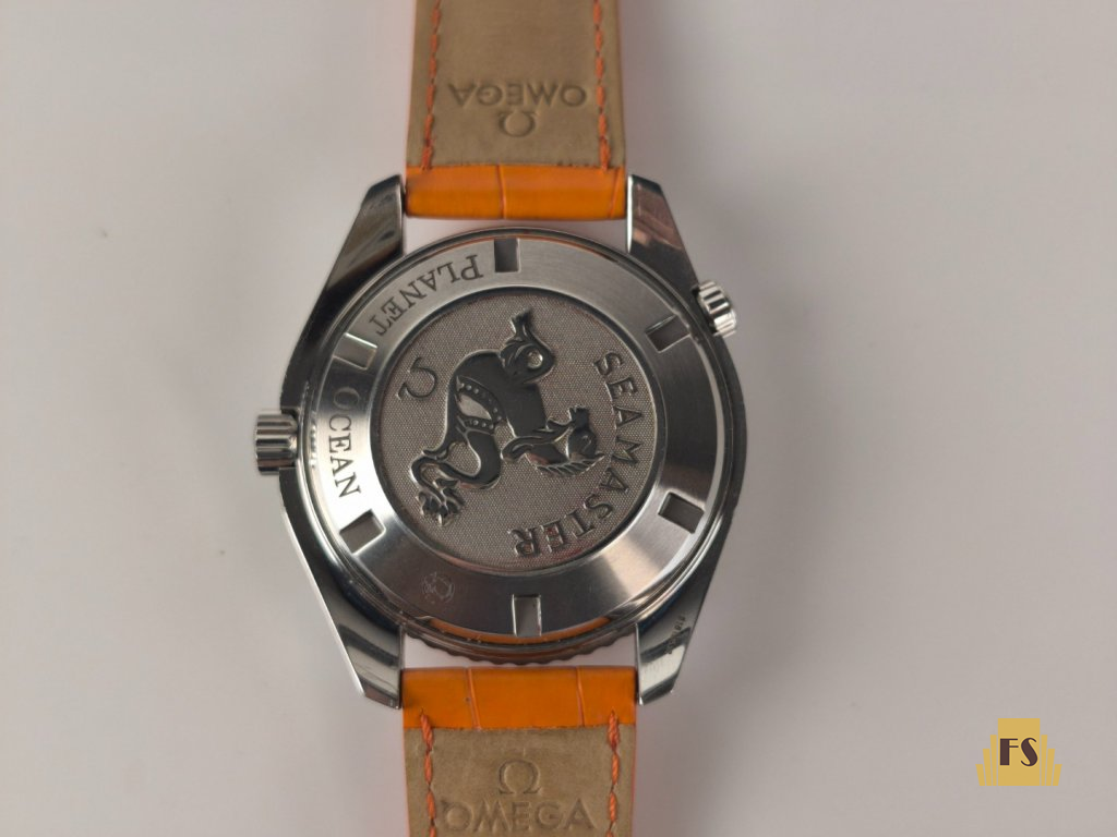 Omega Seamaster Planet Ocean